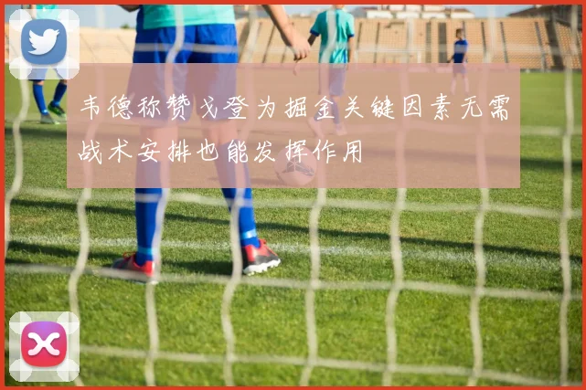 韦德称赞戈登为掘金关键因素无需战术安排也能发挥作用