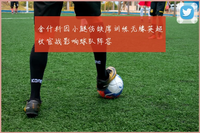舍什科因小腿伤缺席训练无缘英超收官战影响球队阵容